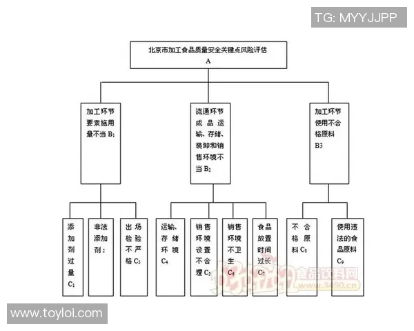 LNG战队在冠军杯中的个人能力分析与表现评估