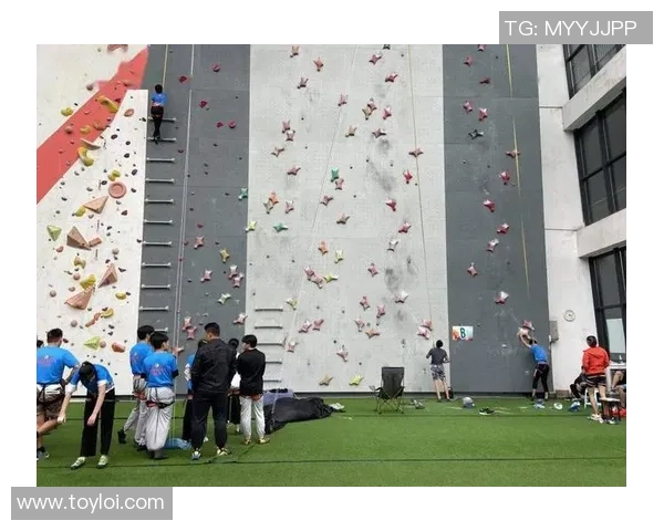 重庆攀岩队实力解析:聚焦攀岩运动的未来与挑战